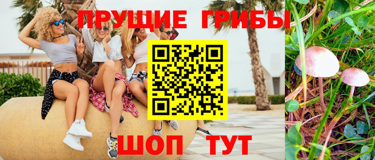 Каменка  Псилоцибиновые грибы Magic Shrooms  Вход с VPN 