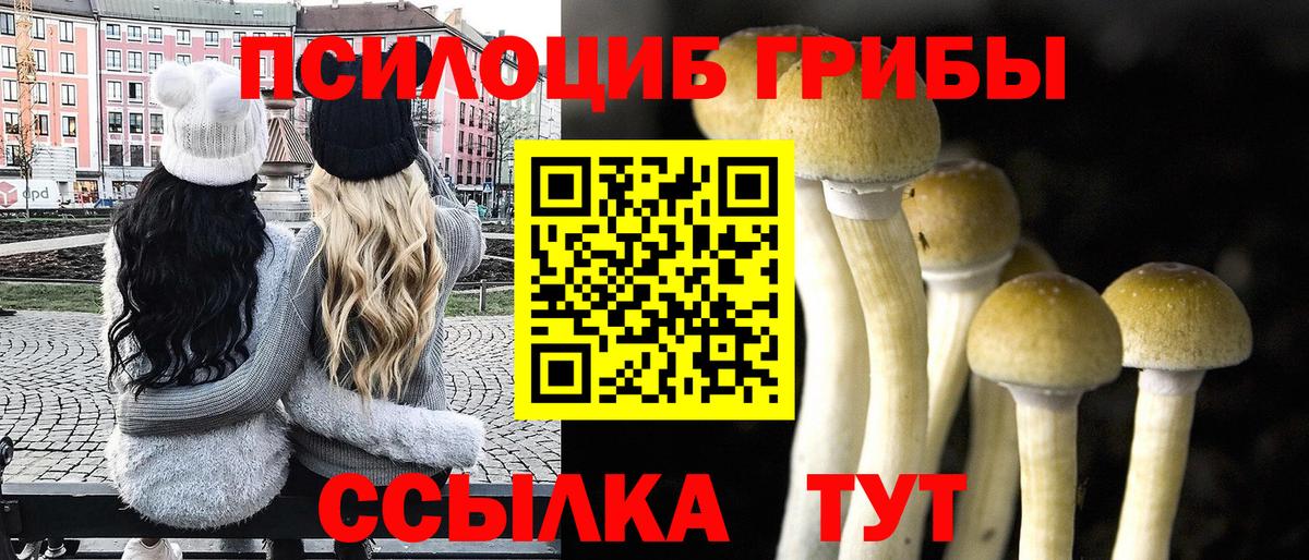 Псилоцибиновые грибы GOLDEN TEACHER Каменка